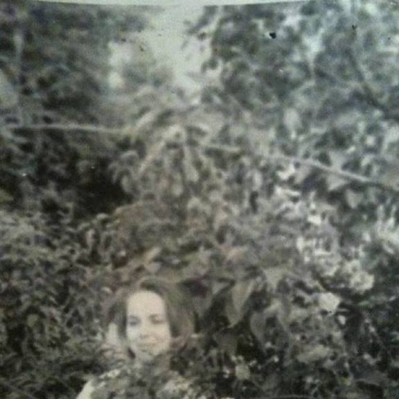 13124962_10209222599182895_2512912261359730158_n